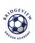 Bridgeview Soccer Academy